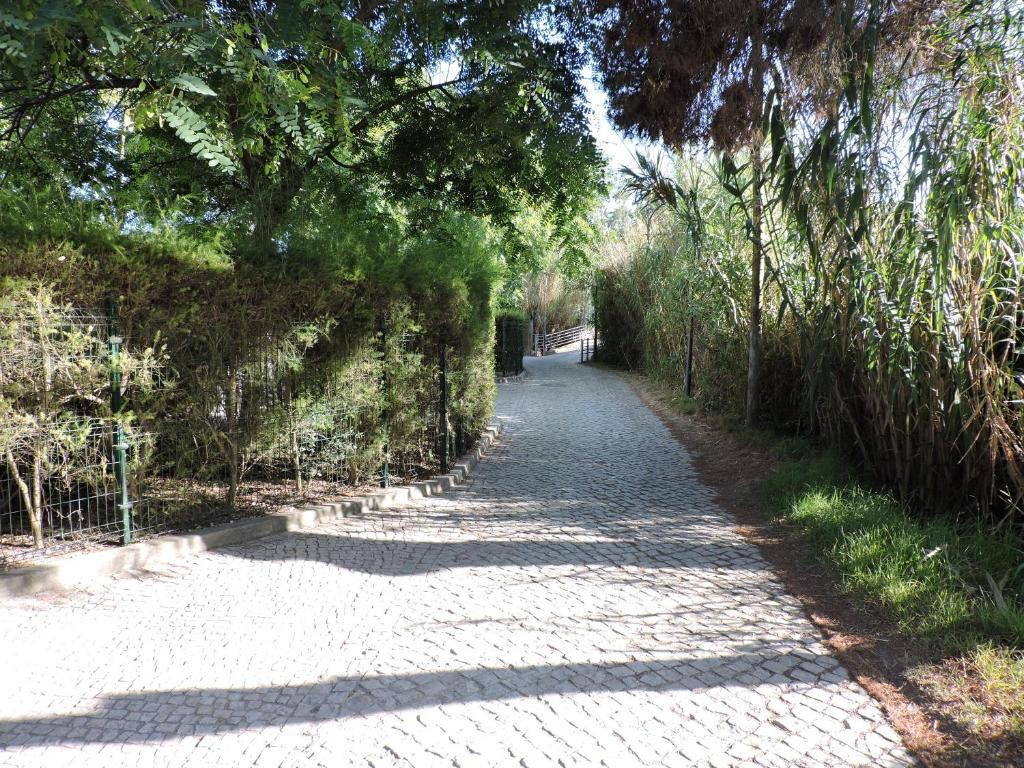 Path to the beach (5-minute walk)